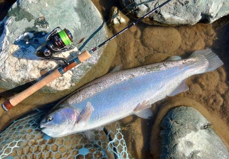 今シーズンラスト釣行 ～天竜川ルアーフライ…